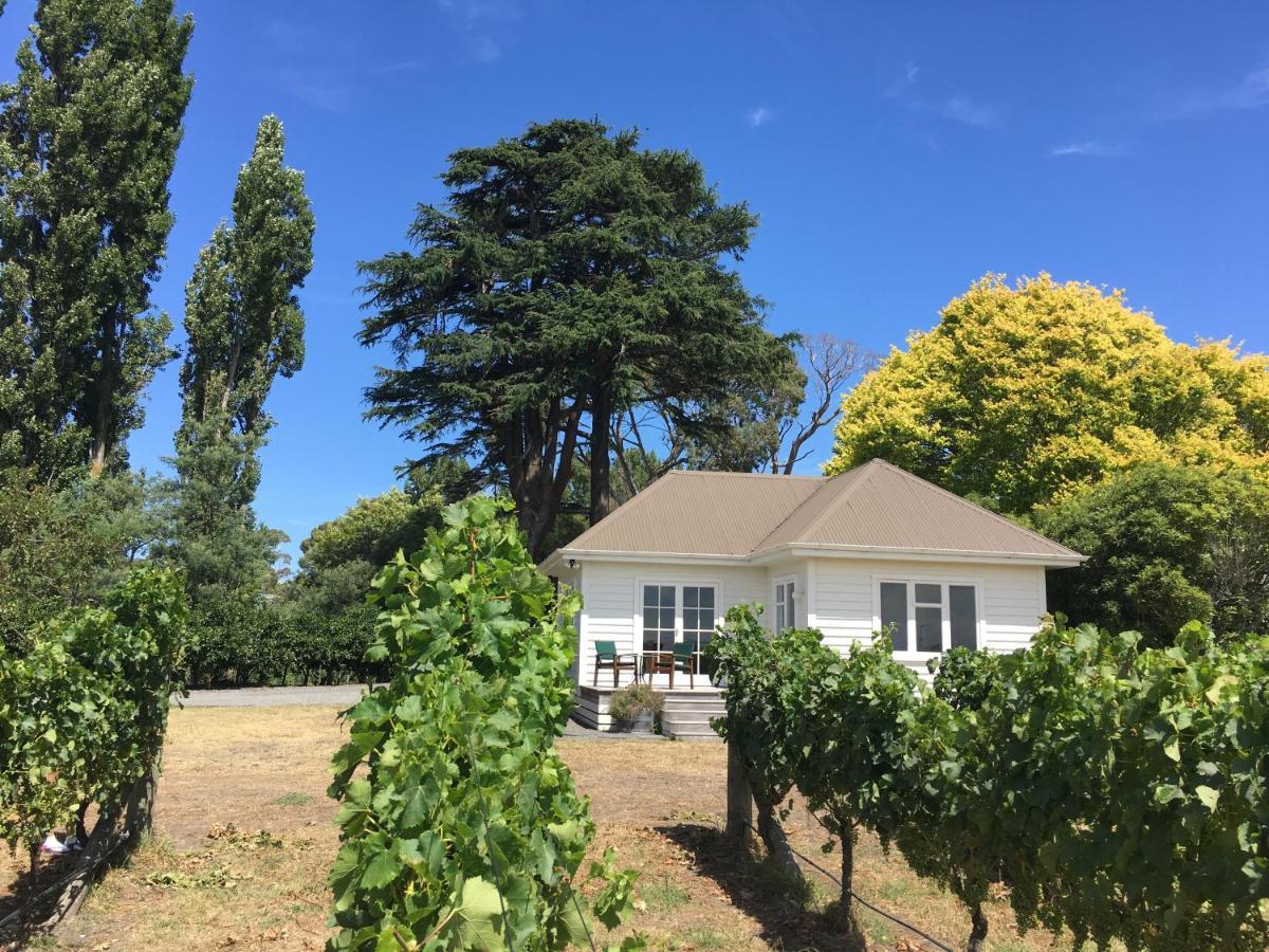 Tuki Vineyard Cottage Havelock North Zewnętrze zdjęcie